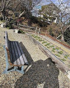 Meiji Mura - Village de l'ere Meiji - 15.01.2024 - 230